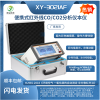红外CO CO2 分析仪
