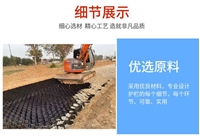 Guangxi Qinzhou Geotechnical Grid Manufacturer River Treatment Geotechnical Grid