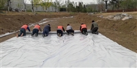 300g anti-seepage geotextile composite geotextile manufacturer
