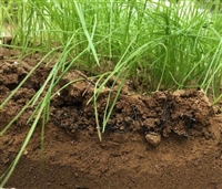 3D soil and water protection blanket polyamide 7020 soil and water protection blanket Shandong Yingrun manufacturer