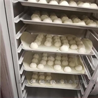 Lianyungang shrimp cake liquid nitrogen quick freezing machine ZDYT/SDX-1