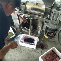 Xinjiaqiang juicer sugarcane juicer quotation commercial juicer