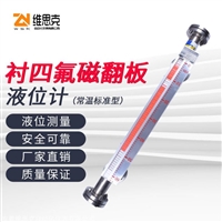 Inner lining PP material LHSB-32-CW high-temperature dry reed tube level gauge flange DN100