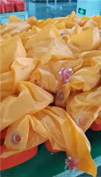 Shandong Tai'an ZYX isolated compressed oxygen self rescue device has good effect