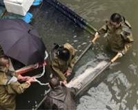 Sturgeon B-ultrasound machine Fish B-ultrasound machine Sturgeon parent fish B-ultrasound gonad examination Sturgeon ultrasound