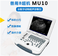 Pet Shop Ultrasound Machine Pet Diagnosis Ultrasound Equipment Pet Inspection Black and White Ultrasound Pet Ultrasound Machine Price