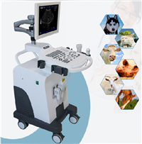 Animal ultrasound machine, cart type animal ultrasound machine, pet store ultrasound machine, Jiangsu animal ultrasound machine manufacturer