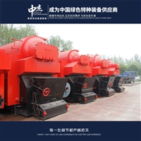 4-ton chain biomass boiler supply, contracted by Zhongjie Company for after-sales service