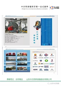 Customized Thermal Oil Boiler Manufacturer Selection of Thermal Oil Boiler Products