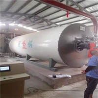 Shandong thermal oil boiler price YYQ series 2-ton natural gas boiler manufacturer