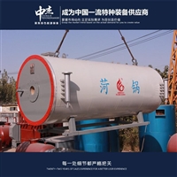 Zhongjie Equipment Supply Gas Thermal Oil Boiler After sales Improvement