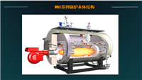 Shanxi supplies 2 tons of natural gas boiler prices and gas boiler suppliers