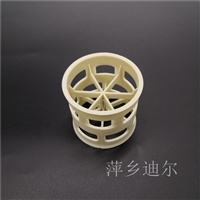 PPH Lalu Ring Filler Plastic Lalu Ring DN50 Lalu Ring Dier Plastic Filler