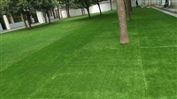Plant simulation lawn