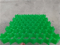 Shandong 7cm 5cm Grass Grid Wholesale