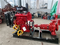 Diesel engine fire pump emergency diesel fire pump