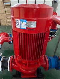 Pressure stabilizing pump and booster pump