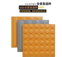 Solid wear-resistant tactile paving brick building all ceramic tactile paving brick high cold resistance and water absorption