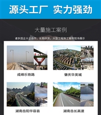 FYT-1 Bridge Deck Waterproof Coating Guangdong Shuanghong Waterproof and Thermal Insulation Engineering Co., Ltd