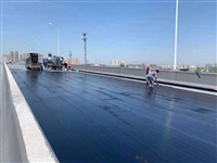 One piece of spray coating with quick setting rubber asphalt waterproof coating has good root puncture resistance and is produced by Shuanghong
