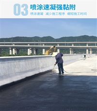 Double Rainbow Water based Asphalt Bridge Deck Waterproof Coating for Yunnan Expressway