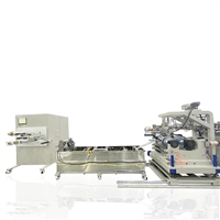 Research and development of lithium battery separator for PuTong/POTOP twin-screw extrusion casting wet experimental line