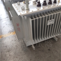 Zhangjiajie Transformer Manufacturer 500 kVA Oil Immersed Transformer Model