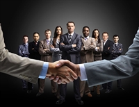 Fox odor liquid processing and production factory OEM OEM OEM OEM OEM processing and investment promotion