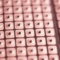 Ear acupoint patch production factory invites investment in ear acupoint pressure bean king without leaving seeds, medical insurance consumables for Chinese medicine