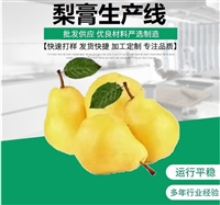 Da Bai Pear Juice Beverage Equipment Annual Production of 800 Tons Pear Wine and Pear Paste Complete Deep Processing Production Line