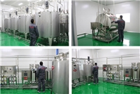 A complete set of filling production line equipment for deep processing of small mulberries, mulberry juice and fruit wine