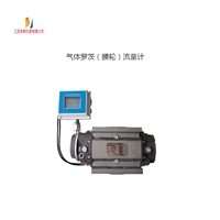 Intelligent DN50 gas Roots flowmeter DN50 aluminum alloy gas Roots flowmeter