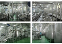 Cherry fruit wine deep processing equipment pilot 50 tons per year pomegranate wine fermentation and filling production line