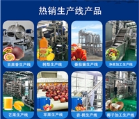 200 tons of canned peach processing equipment, annual canned yellow peach fruit production line