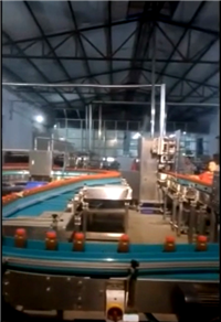 Chrysanthemum tea production equipment, rose tea beverage production line, Zhongyilong Manufacturing