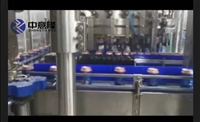 Blueberry Wine Production Line Henan Beverage Processing Equipment Zhongyilong Machinery High Efficiency Long Life