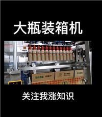 Biyang Zhongyilong - Fully automatic suction cup packing machine - Side sealing packing machine manufacturer