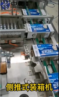 Henan Zhongyilong - Side push packing machine - High speed packing machine manufacturer