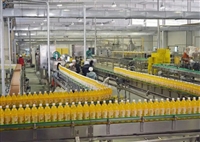 380g glass bottle cranberry sauce processing line fully automatic jam production equipment - worry free quality