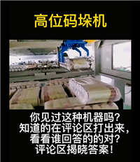 Zhongyilong - High position palletizing machine - Frame palletizing machine manufacturer direct sales