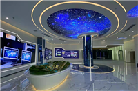 LED Skyline Electronic Screen LED Ceiling Display Screen LED Display Screen Brand Manufacturer Mingsheng Group
