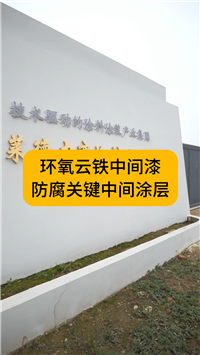 Bridge anti-corrosion coating, acid and alkali resistant steel sealing primer, epoxy cloud iron intermediate paint, Fulide