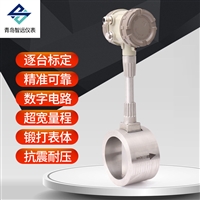 Kashgar vortex flowmeter shell supervision and inspection, general agent for steam meters