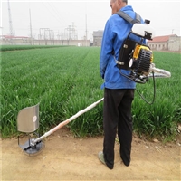 Anhui backpack gasoline lawn mower four stroke labor-saving lawn mower