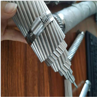 National standard LGKK-900 galvanized flexible hose for hollow expansion conductor of Dazheng substation transmission transformer