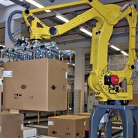 4-6 axis load 30kg palletizing robot multi-purpose palletizing and handling equipment Zhongyilong