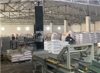 Rice palletizing robot Baidu 360 search Shandong Benson