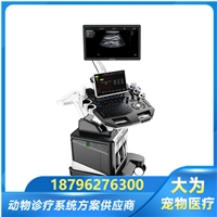 老鼠心梗模型彩超机 鼠兔心肌肥厚超声 小动物主动脉弓B超机