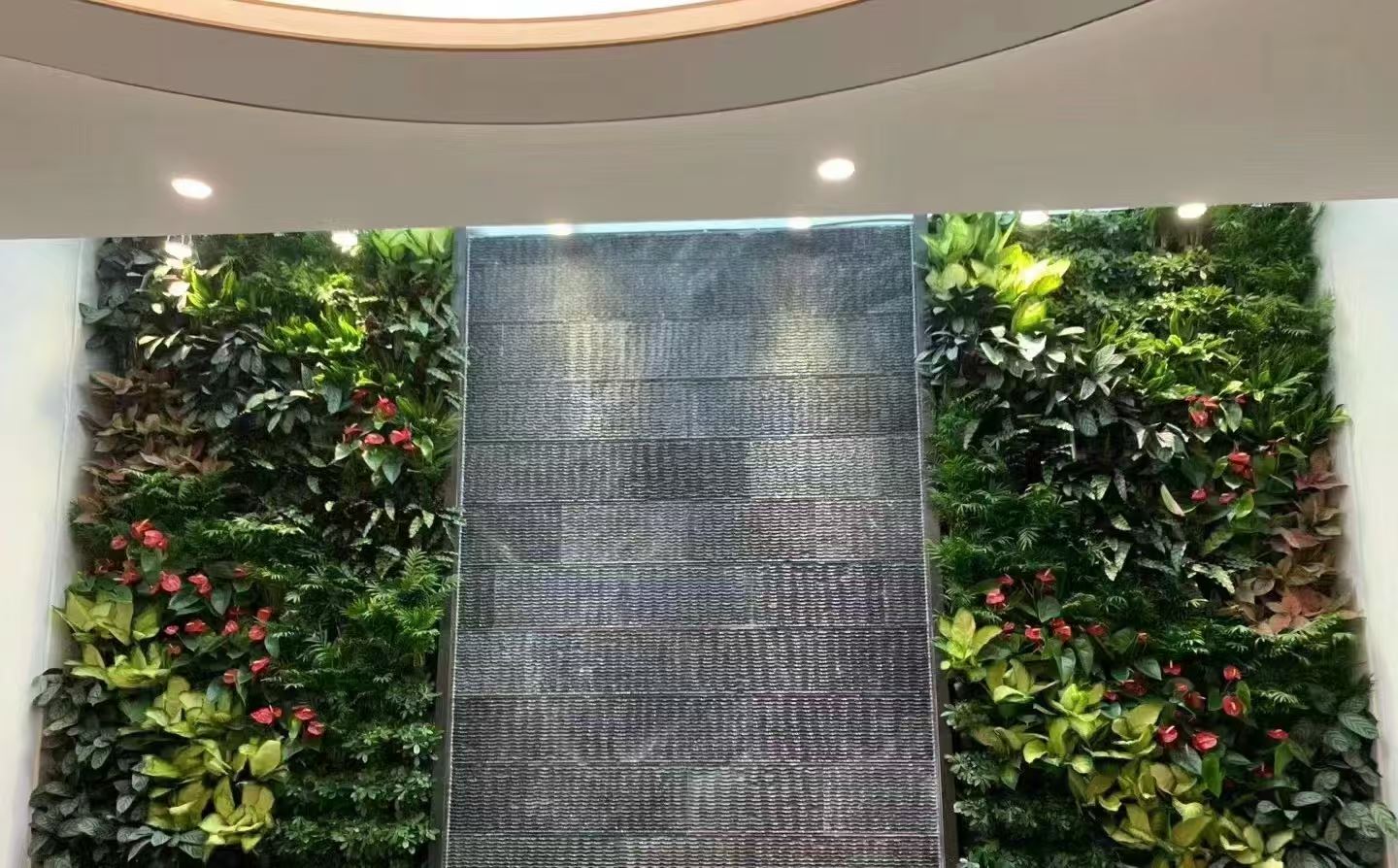 苏州 室内立体绿化  批发价格