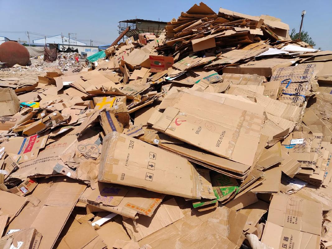 废纸打包站点 东莞废纸打包站点 24小时服务